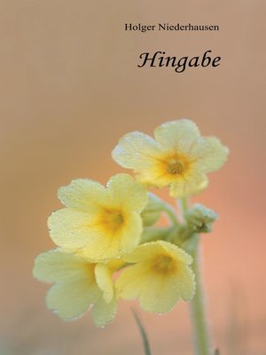 cover image of Hingabe
